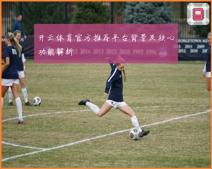 开云体育官方推荐平台背景及核心功能解析